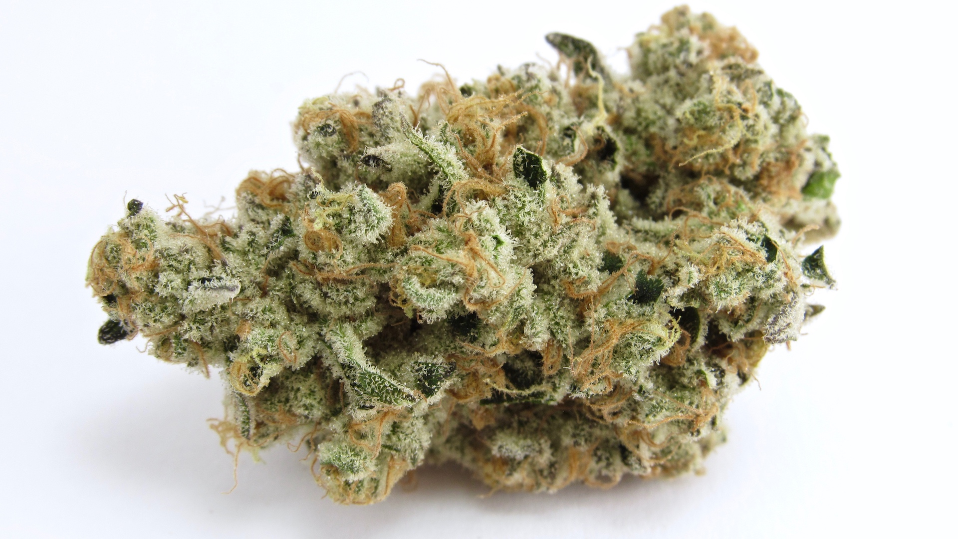 Buy Platinum Kush Breath Strain - Indica Hybrid Bud - Galaxy MJ ...