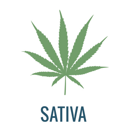 Sativa Dominant Cannabis Products • Fraser Bud